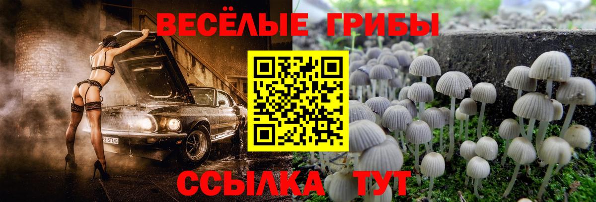 Галлюциногенные грибы GOLDEN TEACHER Ессентуки